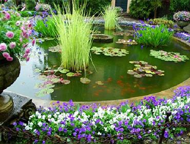 Декоративные водоемы